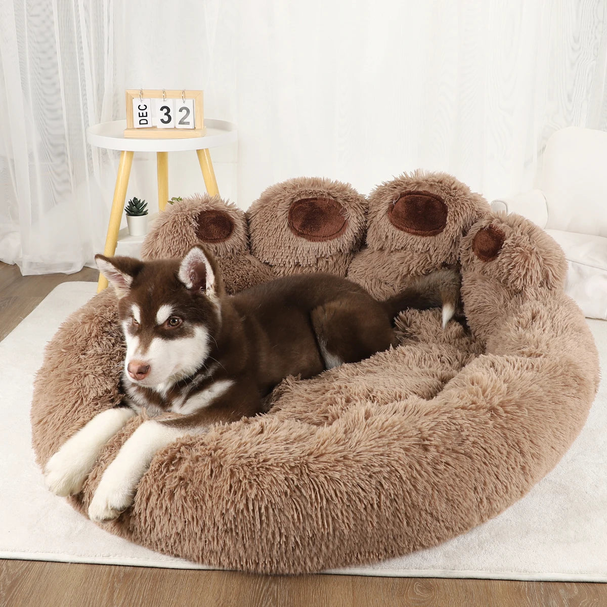 Cozy Sofa Bed